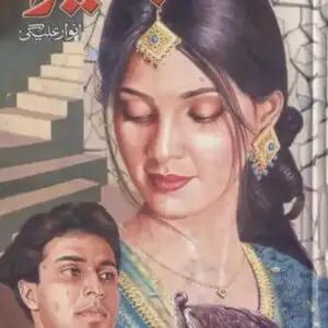 Basaira by Anwar Aligi
