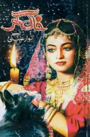 Khali Ghar by Anwar Aleegi